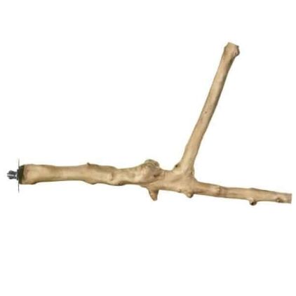 Coffee Tree Perch 1052 Natural Y 18" Large