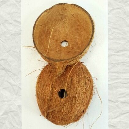 Coconut Shell Halves With Hole For Bird Toy Parts Hairy 2 pc