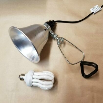 Full Spectrum Economy Daylight Bulb with Clamp Light Lamp