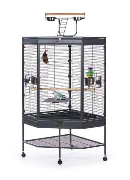 Prevue Corner Cage with Playtop - 3165