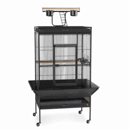 Play Top Bird Cage for Medium Parrots by Prevue 3153 Black