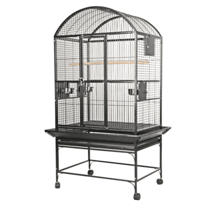 Dome Top Bird Cage for Medium Parrots by AE 24x22 Black