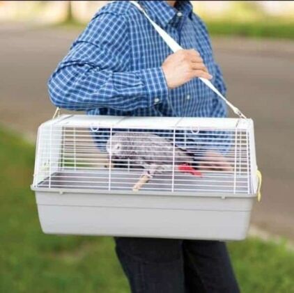 Carrier or Hospital Cage for Small Medium Birds Pets 1306