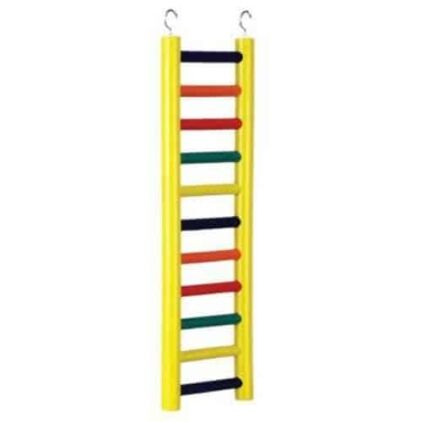 Prevue Pet 1138 Ladder High Colorful 11 Wood Rung 18 Inch