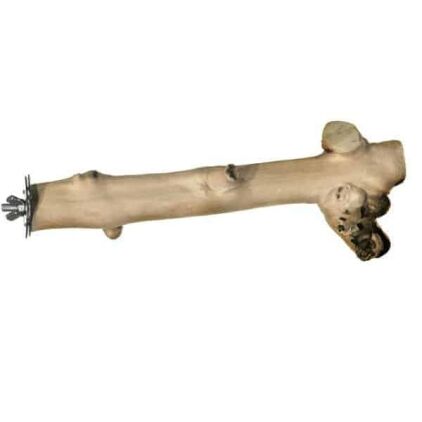 Coffee Tree Perch 1041 Natural Straight 12" Medium