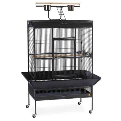 Play Top Bird Cage for Medium Large Parrots by Prevue 3154 Black