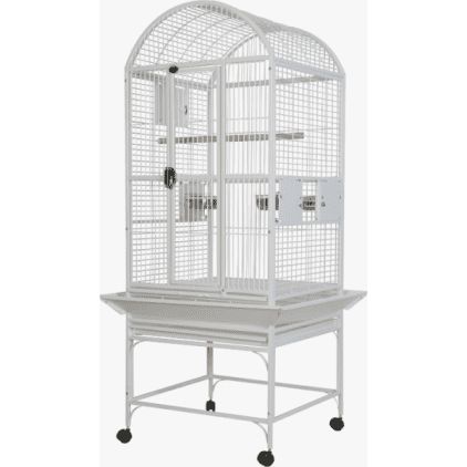 ae-9002422-white