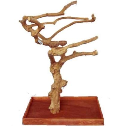 Java Wood Parrot Play Stand Tree by AE Large Birds 250L