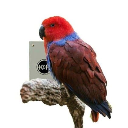 Bird Warmer Heated Snuggle Up Panel for Small Birds