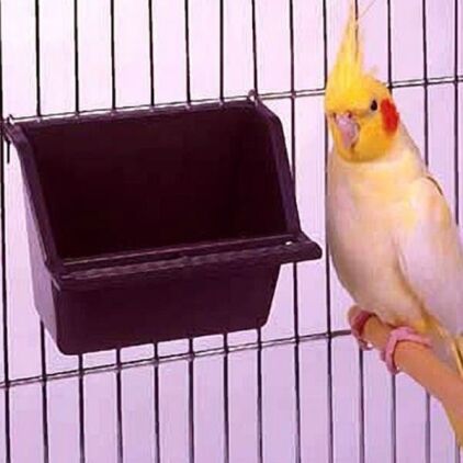 High Back Seed and Water Cup with Landing Perch 1265 6 oz