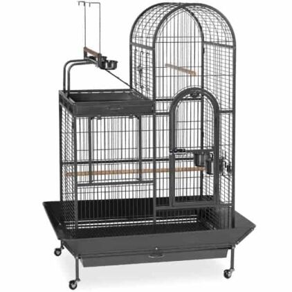 Dual Top Bird Cage for Medium Large Parrots by Prevue 3159 Black