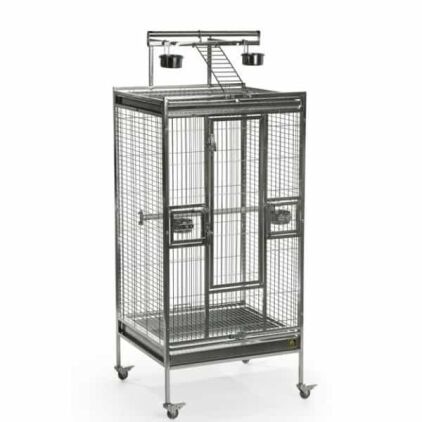 Play Top Bird Cage for Medium Parrots by Prevue 3453 Stainless Steel